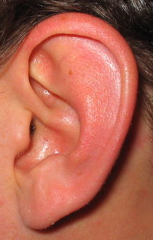 220px-ear